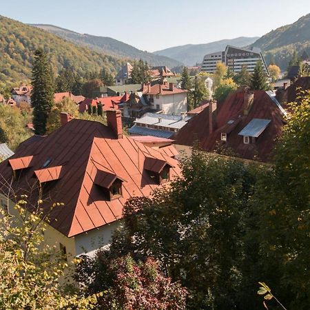 Rustic Regal Apartman Sinaia Kültér fotó
