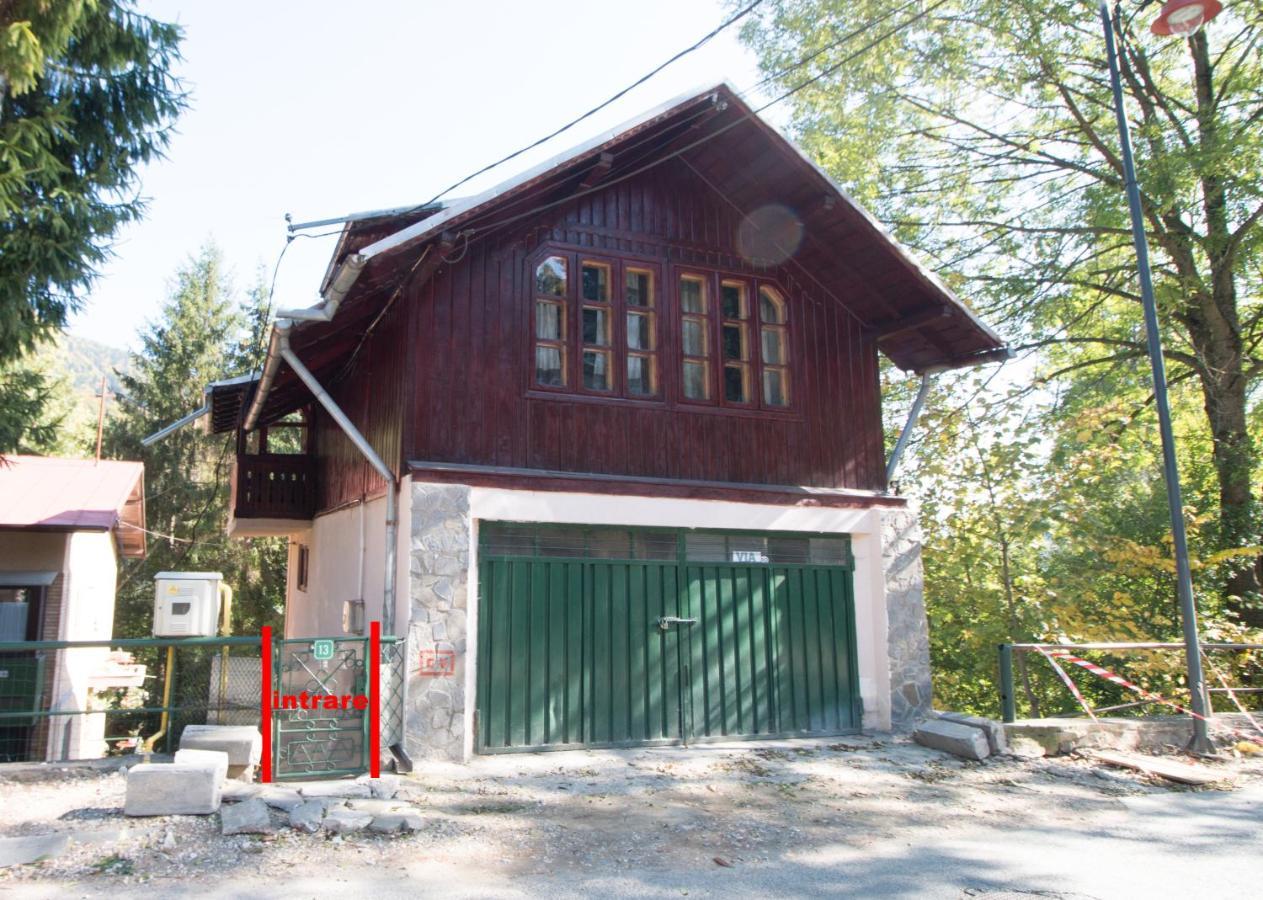 Rustic Regal Apartman Sinaia Kültér fotó