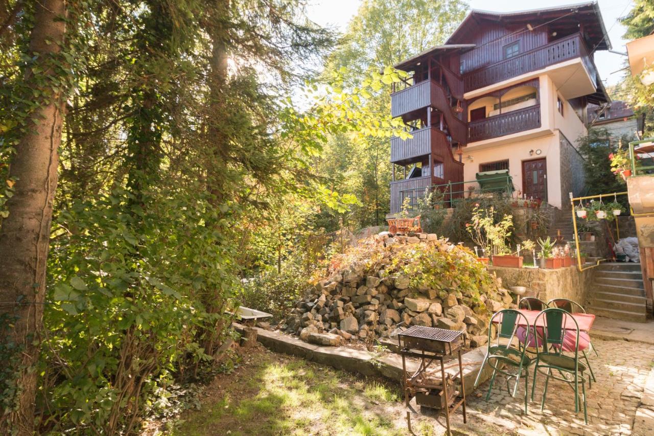 Rustic Regal Apartman Sinaia Kültér fotó